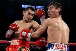 Monito vs Arce