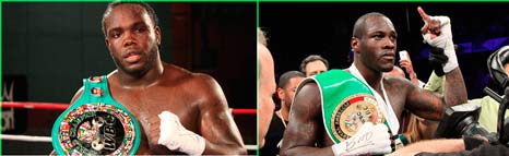 stiverne-wilder-art1