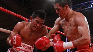 Reveco vs Saengthep