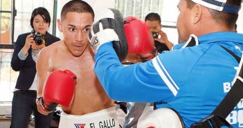 OK a revancha ‘Gallo’ vs. ‘Chocolatito’