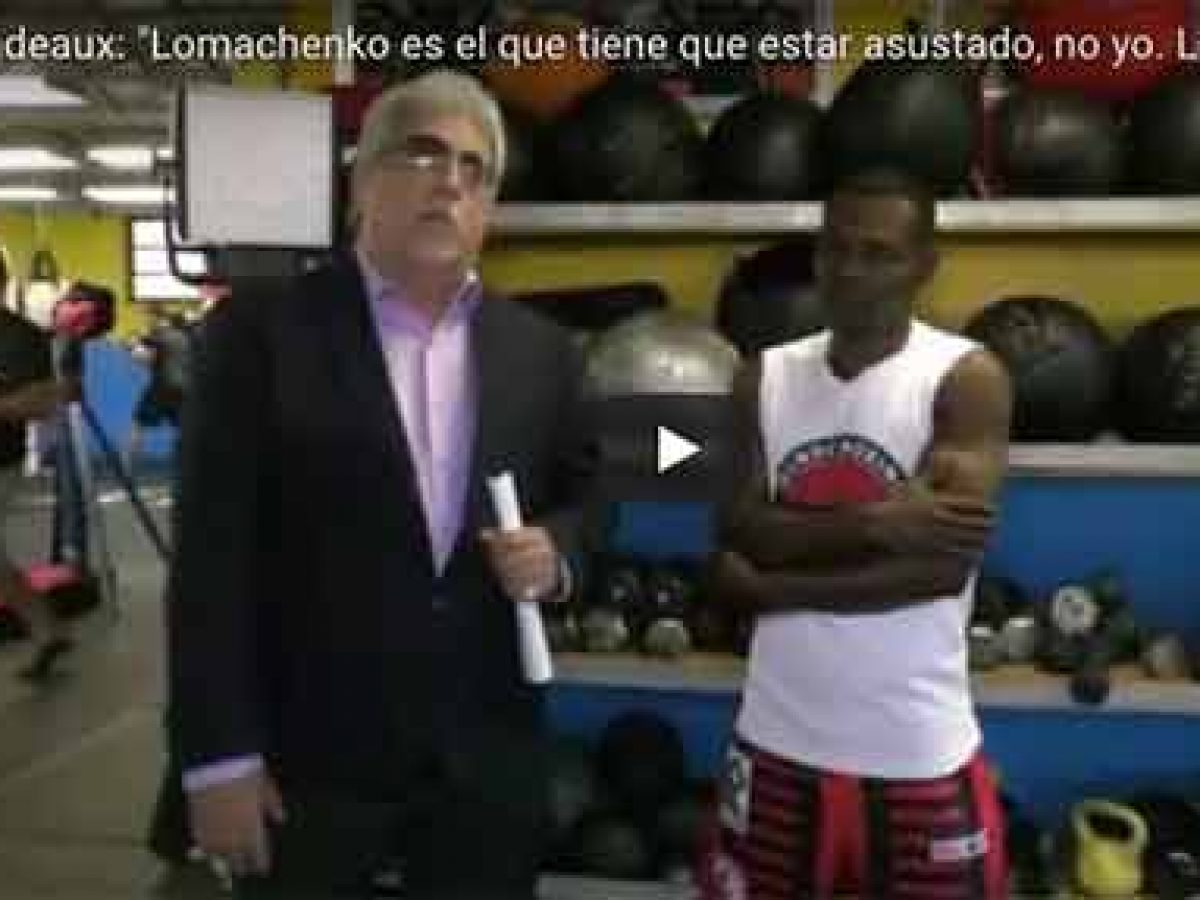 VIP Honoris 2 guantes de boxeo para entrenamiento