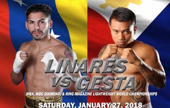 Jorge Linares vs Mercito Gesta