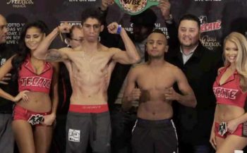 Vargas vs Negrete