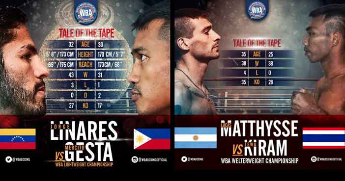 Linares vs Gesta -Matthysse vs Kiram