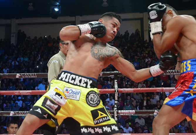Miguel 'Micky' Román vs Arístides Pérez (Promociones del Pueblo)