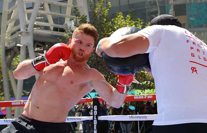 Canelo entrenando