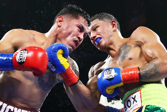 Román vs Berchelt (Fotos: Mikey Williams / Top Rank)