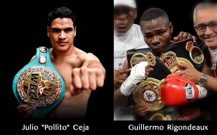 Julio "Pollito" Ceja vs Guillermo Rigondeaux