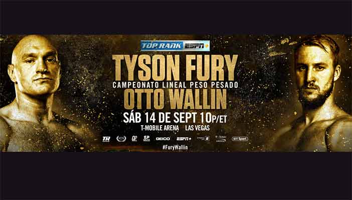Fury vs. Wallin