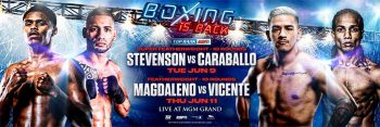Stevenson - Magdaleno carteleras