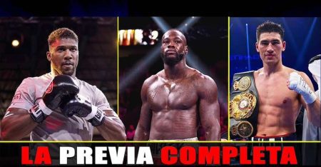 Fiesta completa Joshua, Wilder y Bivol