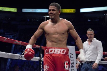 Lobo Torres