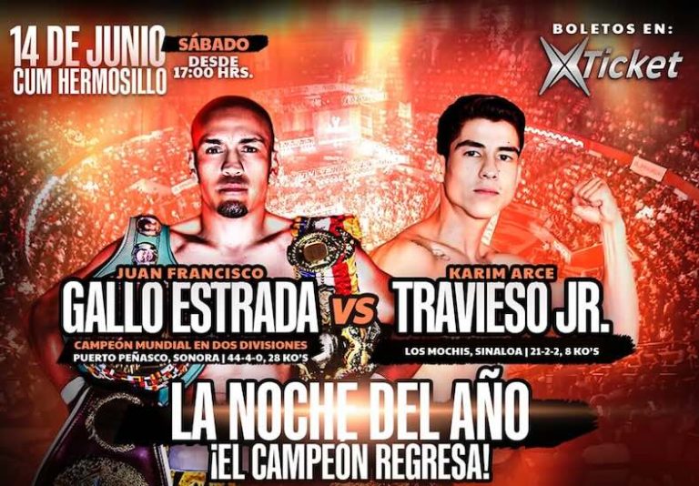 Juan Francisco "Gallo" Estrada vs. Karim Arce