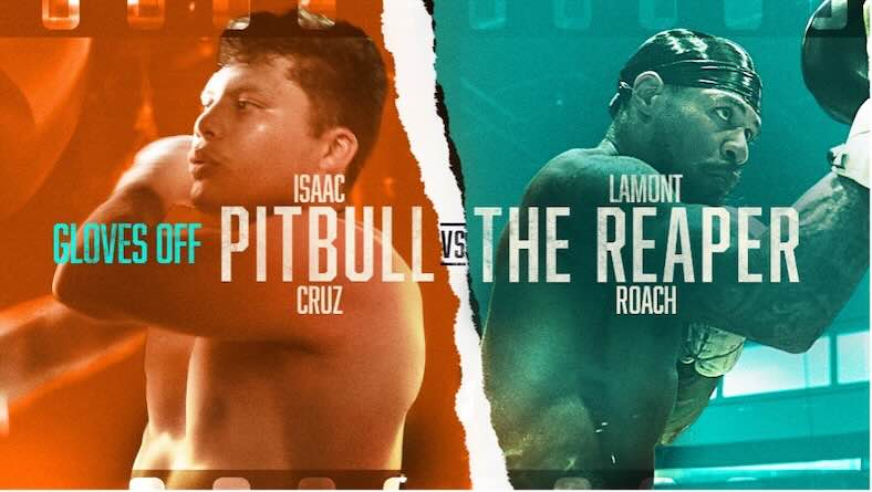 Gloves Off- Pitbull vs Roach Gloves Off- Pitbull vs Roach