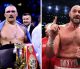 Oleksandr Usyk vs. Tyson Fury