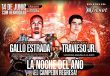 Juan Francisco "Gallo" Estrada vs. Karim Arce