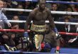 DEONTAY WILDER VS BERMANE STIVERNE (PHOTO CREDIT: SUMIO YAMADA)